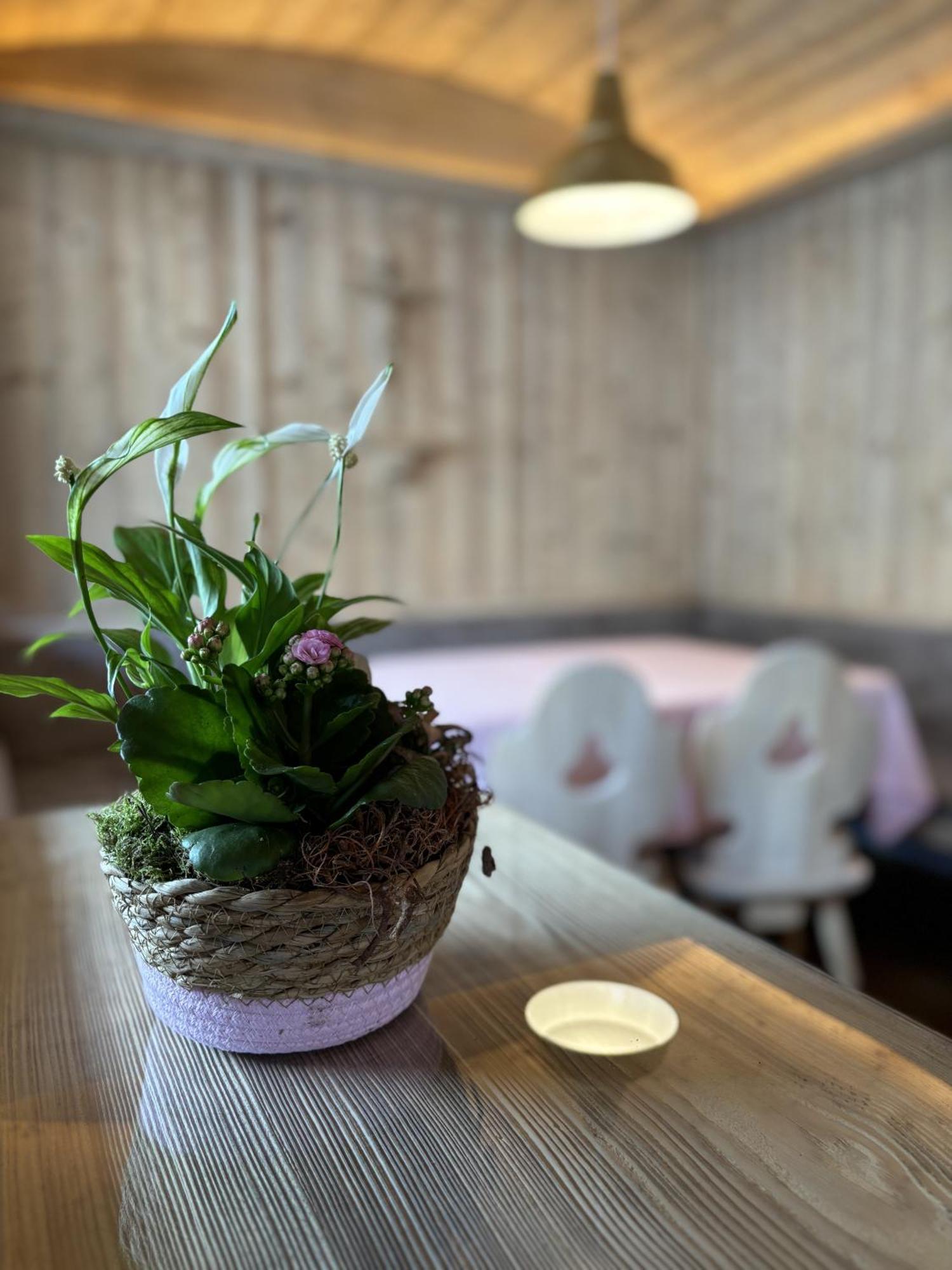 Appartement Rosa 상트조한인티롤 객실 사진